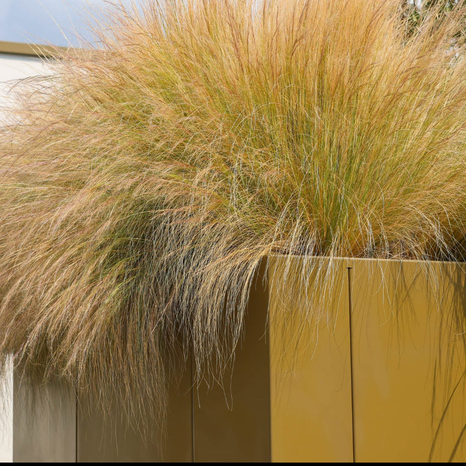 Powder coated steel planter, Anco retaining wall with hardy drought resistant plants