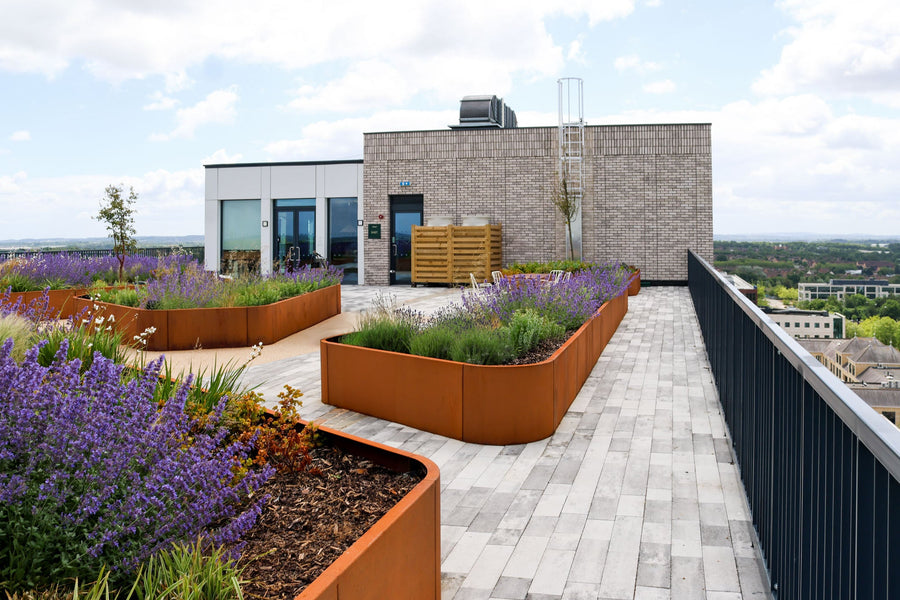 Corten Anco retaining wall planters on a roof top terrace creating a garden