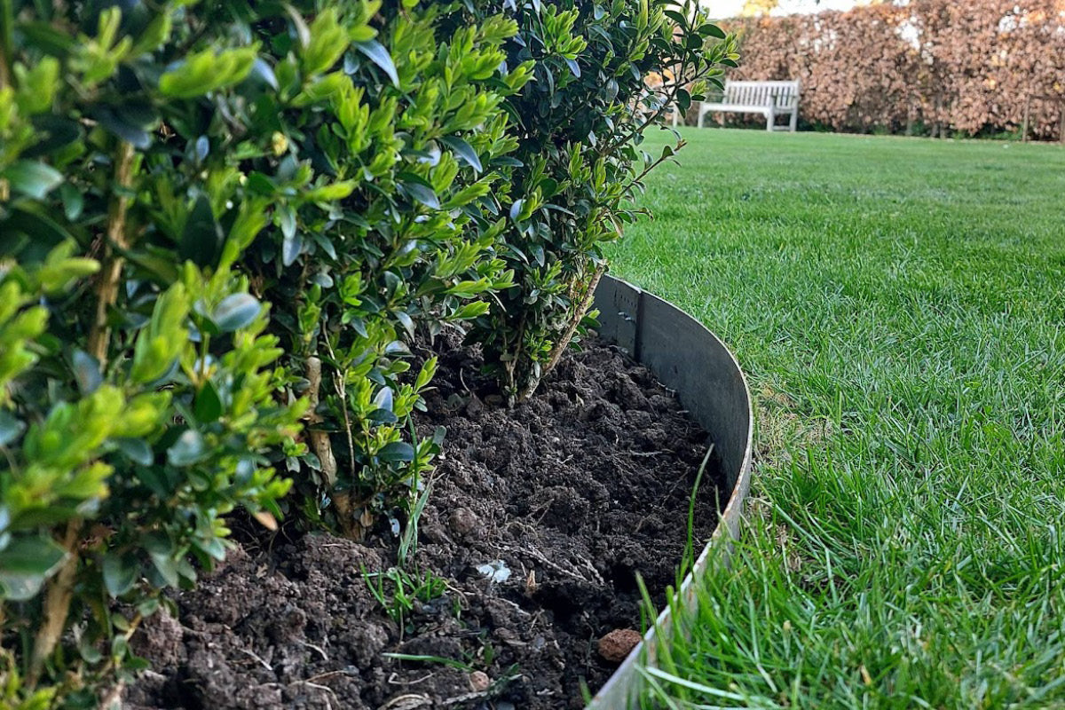 Steel garden edging creating clean lawn and flower bed borders in a contemporary garden