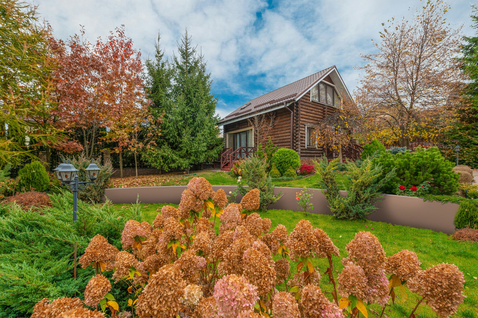 How to Choose the Right Steel Edging for Your Garden: Groundline, Contour, Anco, or Contain?