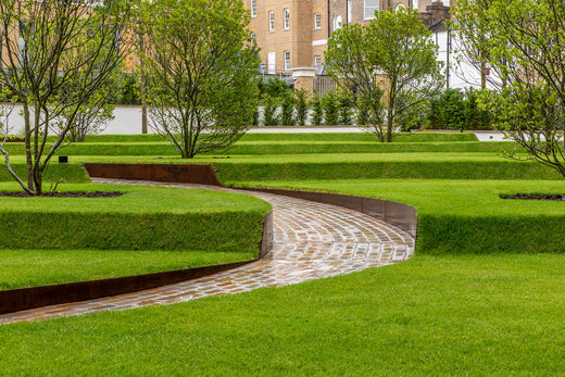 Curved ANCO steel retaining wall with rolled-top edge creating elegant raised planting beds at Regent Crescent. Tapered lawn edge with varying levels.