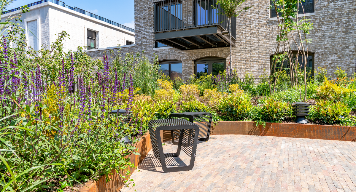 Spring garden ideas featuring steel garden edging, raised beds and colourful planting