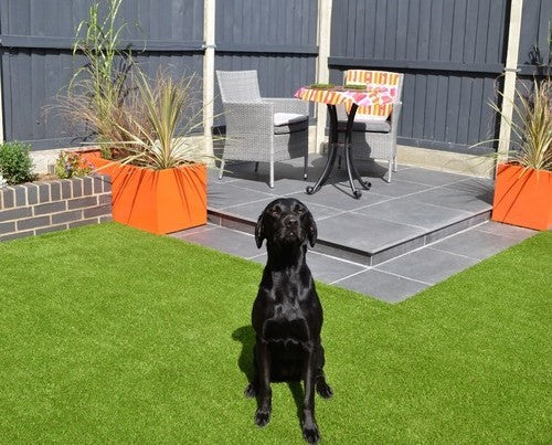 Child and Pet-friendly Gardens: 8 things to consider