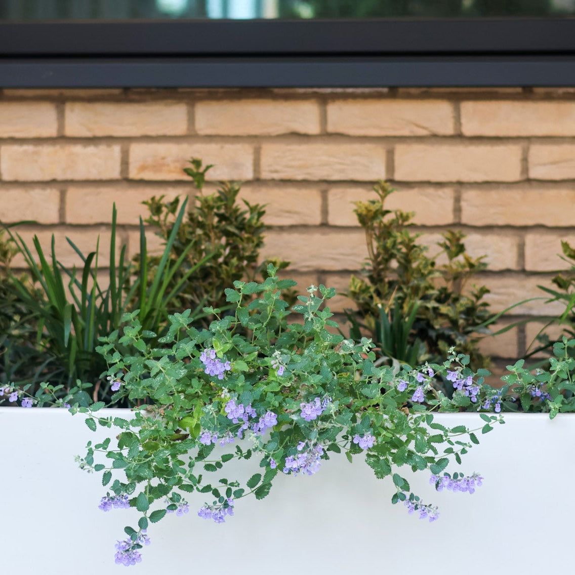 Contain Garden Planter - Rectangular Planter Trough GEO